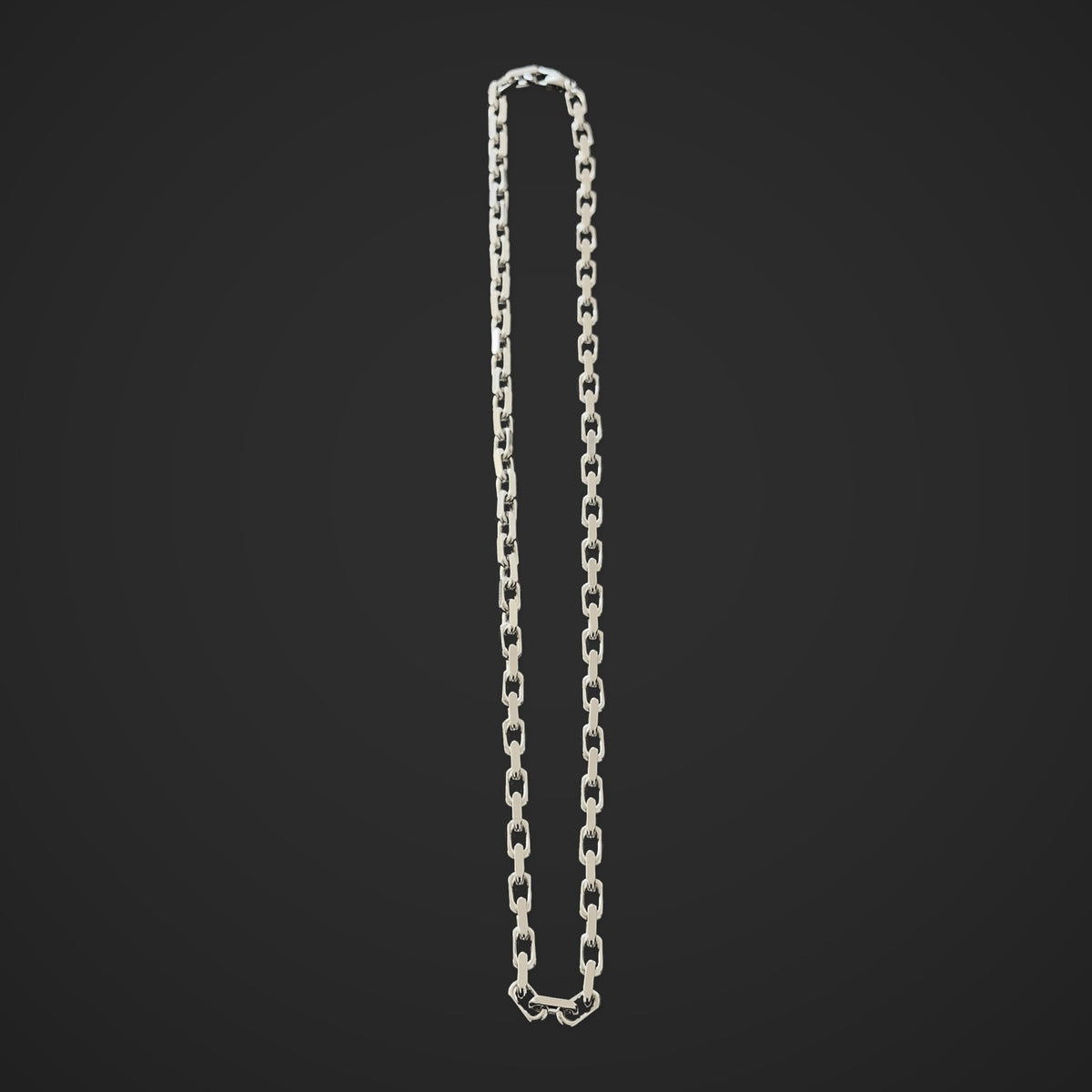 NOBLESSE Halskette 5 mm Edelstahl Silber – ganze Kette